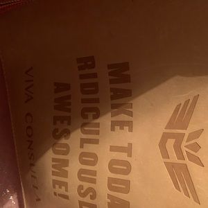 Gold and leather Consuela purse